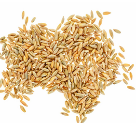 Potato-Protein-Meal.png Potato Protein Meal